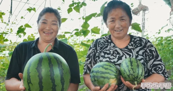 91吃瓜网瓜田:最新动态揭示瓜农丰收背后的故事与市场趋势分析 91吃瓜网瓜田:最新动态揭示瓜农丰收背后的故事与市场趋势分析