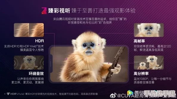 国产婷婷综合在线视频最新动态：全新内容上线，丰富多样的视听体验引发用户热议与关注！