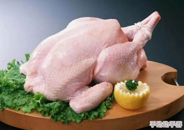 坐在学霸的鸡上背单词双楠(烤糖)，分享高效记忆法与学习技巧，助你轻松掌握英语词汇！