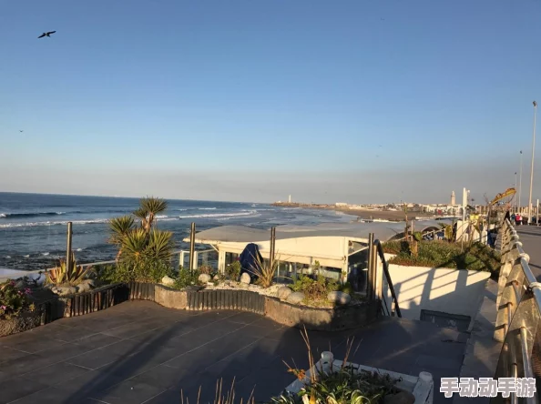 大学生一级一片第一次欧美，震惊！竟然在校园内引发了全网热议，网友们纷纷表示无法接受这一现象！