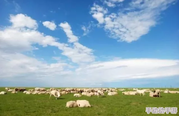 91日本在线观看亚洲精品:最新动态与用户体验分享,畅享高清视听盛宴的全新选择! 91日本在线观看亚洲精品:最新动态与用户体验分享,畅享高清视听盛宴的全新选择!