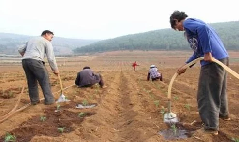 x7x7x7任意浇水＂竟引发农业界轩然大波，科学家称其可能改变传统种植模式，种植效益提升惊人！