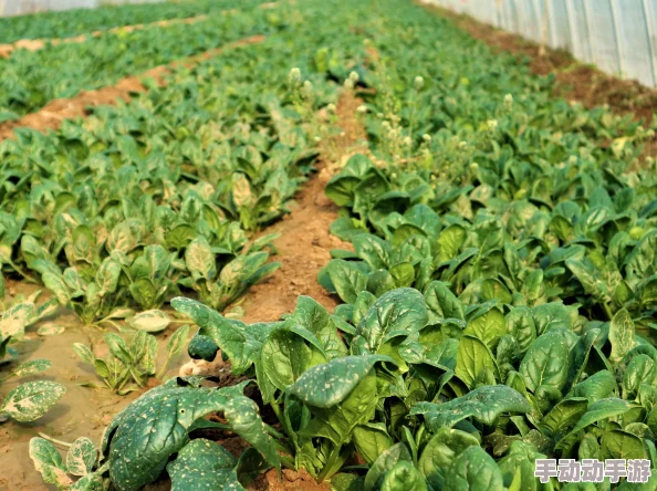 x7x7x7任意浇水＂竟引发农业界轩然大波，科学家称其可能改变传统种植模式，种植效益提升惊人！