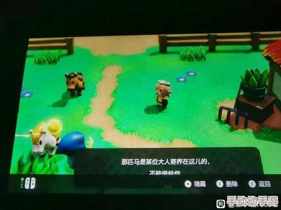 《塞尔达传说 智慧的再现》中用于收纳宝贵财物的神秘箱子究竟是什么？