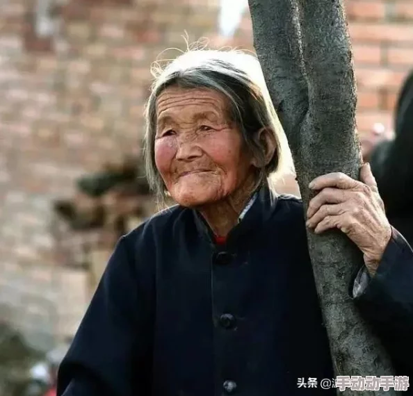 四川小虎gy2022的外观设计细节与市场反响分析，展现其独特魅力与竞争优势