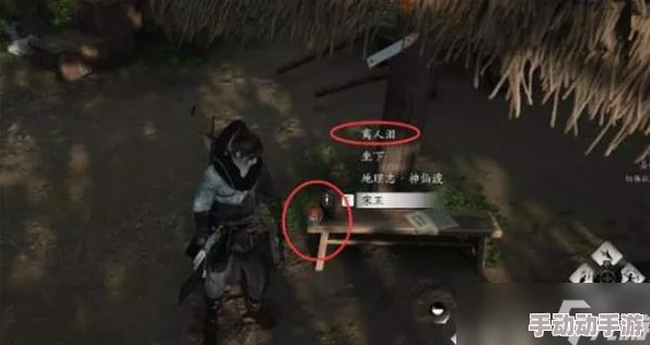 燕云十六声游戏攻略：详解物归原主任务步骤与技巧指南