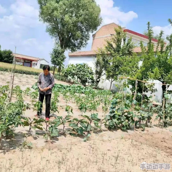 偷看农村女人做爰，揭示乡村生活背后的隐秘故事与社会变迁的深刻影响，引发广泛关注与讨论
