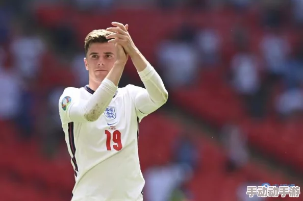 深度解析：冠军之特与荣耀世冠，哪款产品更胜一筹？