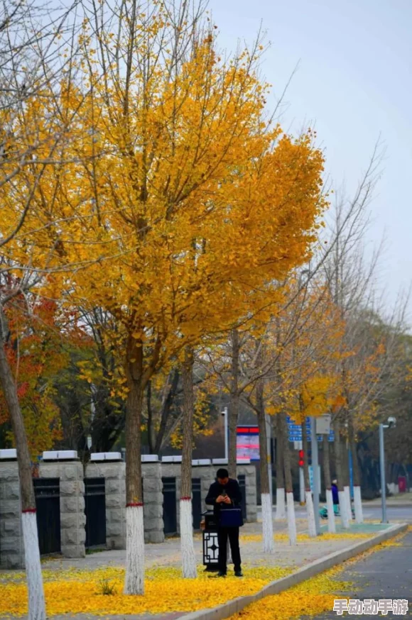 高清无码黄*网站:最新动态曝光,用户体验大幅提升,内容更新频繁引发热议! 高清无码黄*网站:最新动态曝光,用户体验大幅提升,内容更新频繁引发热议!