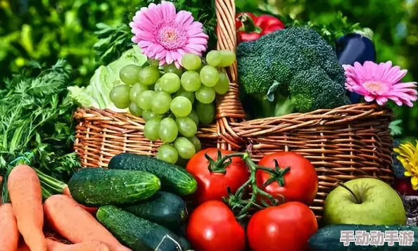 香蕉秋葵菠萝蜜黄瓜丝瓜的区别：了解这些水果和蔬菜的营养价值与食用方法，助你健康饮食新选择