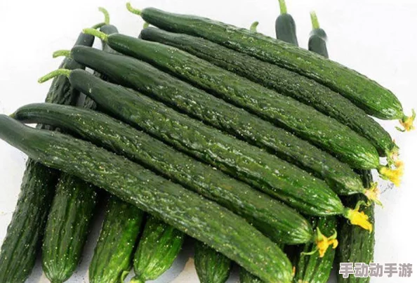 香蕉秋葵菠萝蜜黄瓜丝瓜的区别：了解这些水果和蔬菜的营养价值与食用方法，助你健康饮食新选择