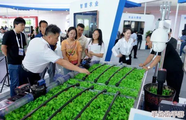 黄色无码视频：最新动态揭示了该领域的变化与发展，吸引了众多观众的关注与讨论