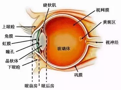 看一级黄色大片网友认为这种内容虽然吸引眼球但可能对青少年产生不良影响，呼吁加强网络监管和自我保护意识