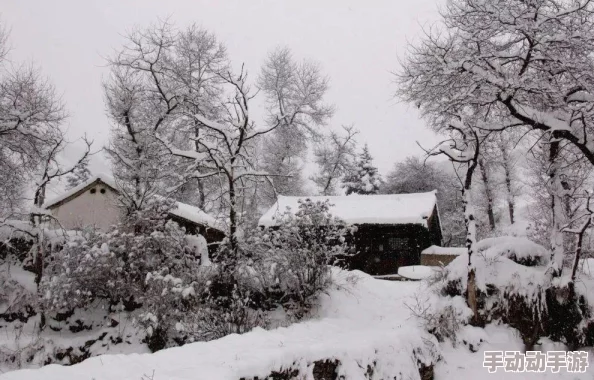 绝地求生刺激战场：雪地地图脚印隐藏技巧深度解析与实战应用指南