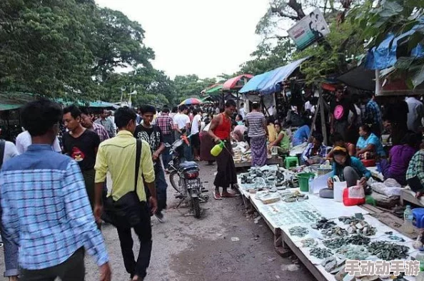 缅甸一级特色黄一片惊爆市场价格飙升消费者争相抢购品质优良口感独特成为新宠