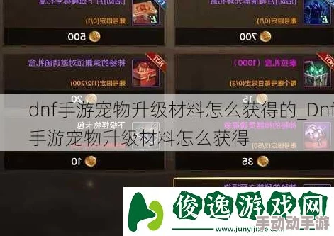 DNF手游宠物洗练材料全方位获取途径及攻略汇总指南