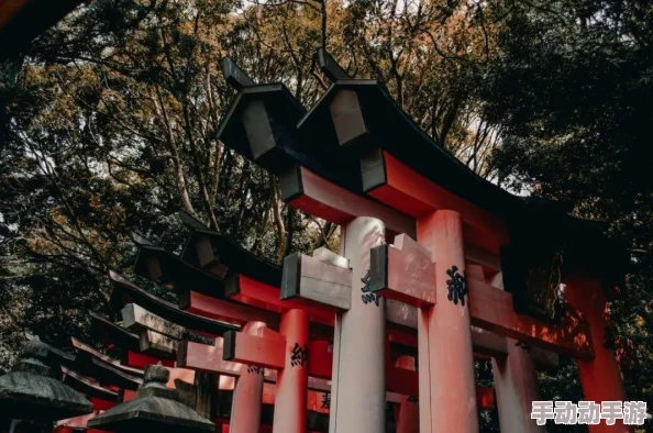 深度解析：最后她对我的禅问神社修行题目一览及详尽答案介绍