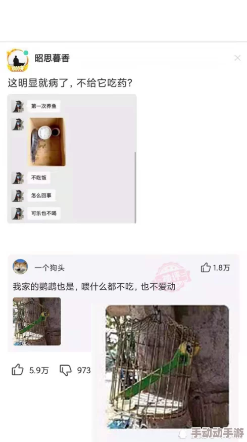 国产男人女人做真爱视频引发热议，网友纷纷讨论其对社会观念的影响与文化反思