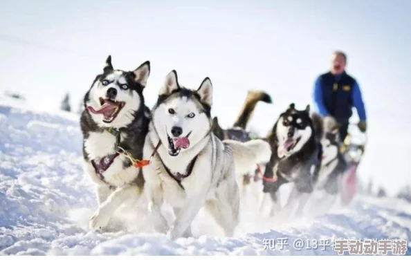 嗯啊好爽啊，真是让人感到无比兴奋，这种感觉太棒了！