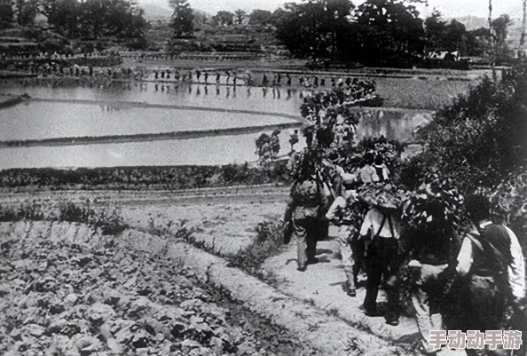 《飞夺泸定桥》电影免费在线观看：重温历史瞬间，感受英雄气概与爱国情怀的震撼之旅！