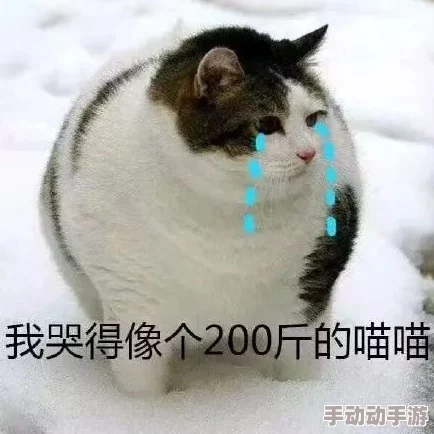 of柚子猫cos小僵尸吃瓜爆料，真是太有创意了，期待更多这样的作品！