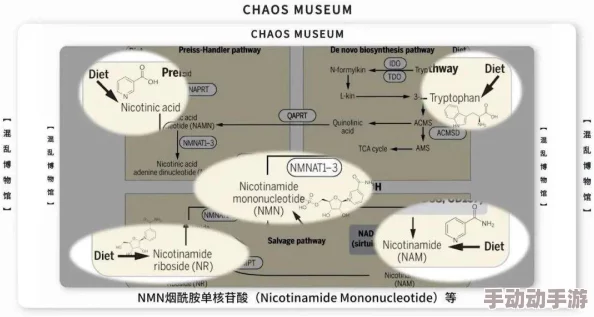 乱翁床第：揭示当代社会中家庭关系的复杂性与挑战，反映人们对情感归属的深刻思考与追求