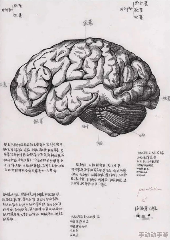 看黄色特级片 网友推荐这部影片情节紧凑画面精美让人欲罢不能绝对值得一看不容错过的精彩之作