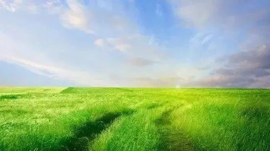 娇妻与黑人h文:健康生活,积极向上,追求美好人生 娇妻与黑人h文:健康生活,积极向上,追求美好人生