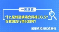 一区二区视频在线观看高清视频在线近期推出全新功能，用户可享受更流畅的观看体验和更丰富的视频内容选择，提升了整体使用满意度