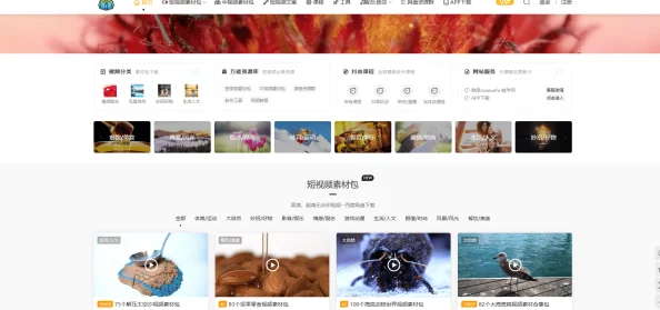 91freepronvideos网友推荐这个网站提供丰富多样的成人视频资源界面友好更新频繁是寻找高质量内容的理想选择