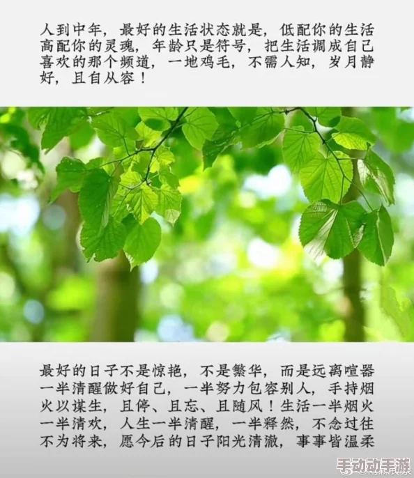 人人操人人透人人干这是一句网络流行语，常用于表达一种无所顾忌、肆意妄为的生活态度