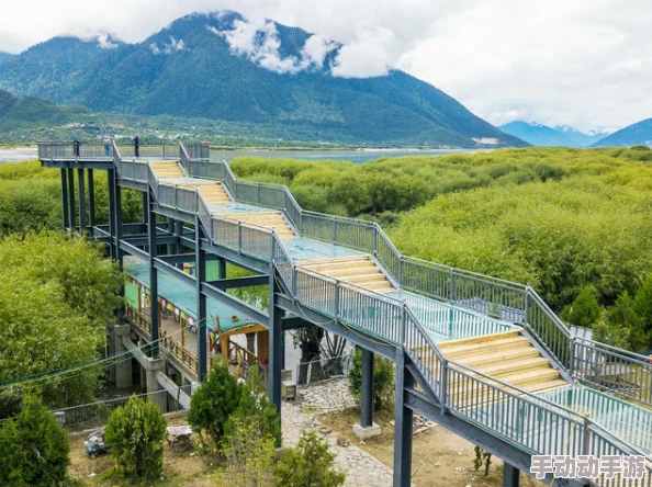 中文字幕精品1在线卧鱼