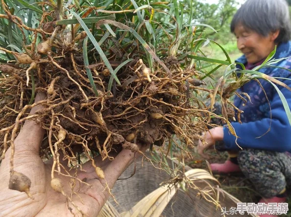 久草视频一区提供多种类型的高质量影视内容，适合不同观众的娱乐需求