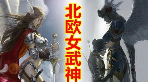 神龙武士A级伙伴全面介绍：暗杀者阴影利刃，潜行与致命的完美结合