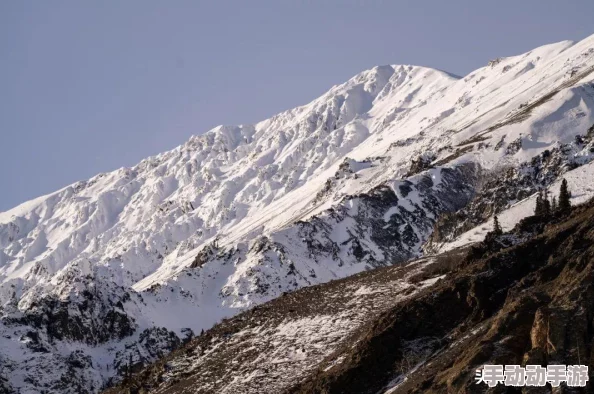 我叫MT英雄杀：详尽解读狂野竞技场玩法流程与策略说明