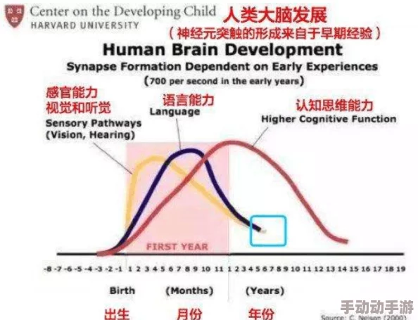 乱爱性全过程免费视频最新研究表明观看此类视频可能影响大脑功能及情绪波动