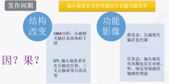 乱爱性全过程免费视频最新研究表明观看此类视频可能影响大脑功能及情绪波动