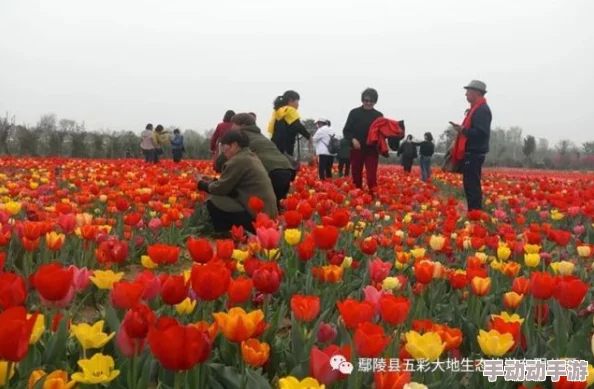 春暖花开x吧有你春风送暖花儿笑颜绽放吧友齐聚共赏美景