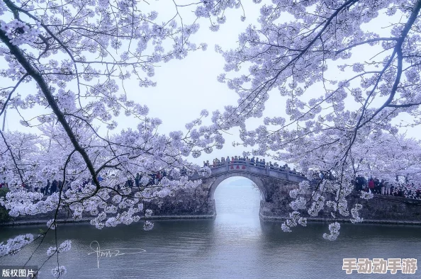 烟雨江湖冰雪节祈愿活动全攻略：惊喜玩法揭秘，祈愿拿好礼教程详解