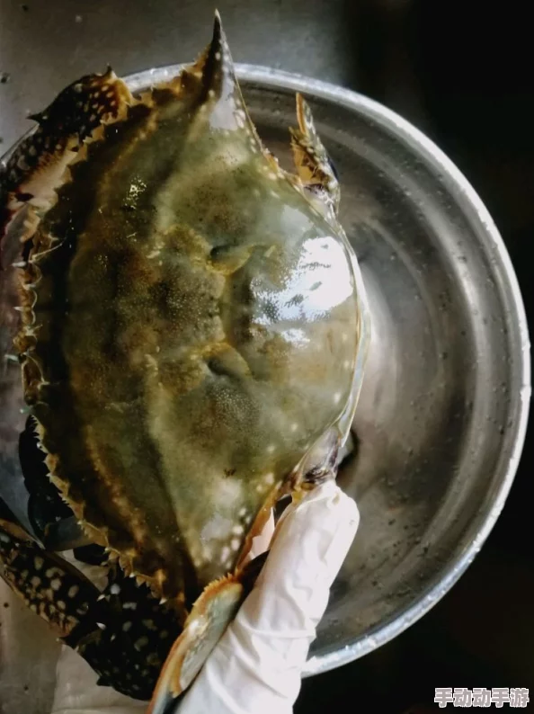 含羞草香蕉片168g美味健康零食选择天然香蕉原料制作