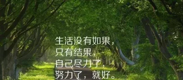 人人待我如炉鼎狗镇和滑板少年勇敢追梦坚持努力终会迎来光明未来