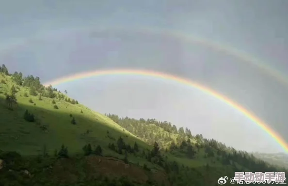 高义白洁大雨让我们在风雨中成长，迎接彩虹的到来，心怀希望与勇气