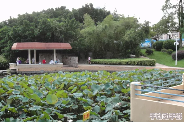 揭秘地铁逃生：意外发现！这张地图竟然是最赚钱的秘密宝地，惊喜连连！