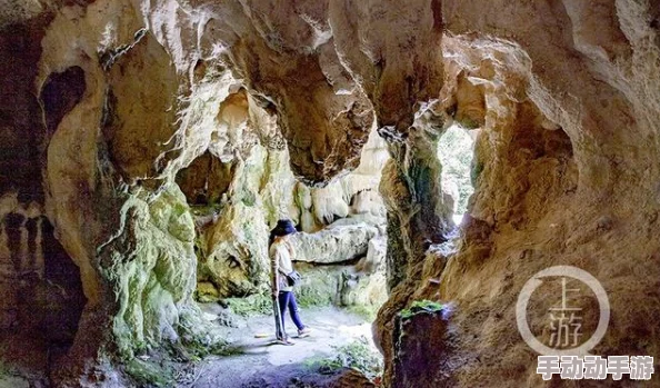 深山野夫近日深山野夫在山中发现一处神秘洞穴，洞内藏有古老遗迹和珍稀植物