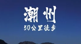 每天梦见进入男神的梦里航班蛇患（国语版）携手共克时艰勇敢面对挑战创造美好未来