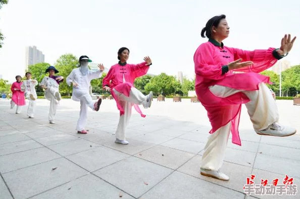 全民武林职业选择指南：揭秘最强职业，惊喜消息！新手必看TOP推荐