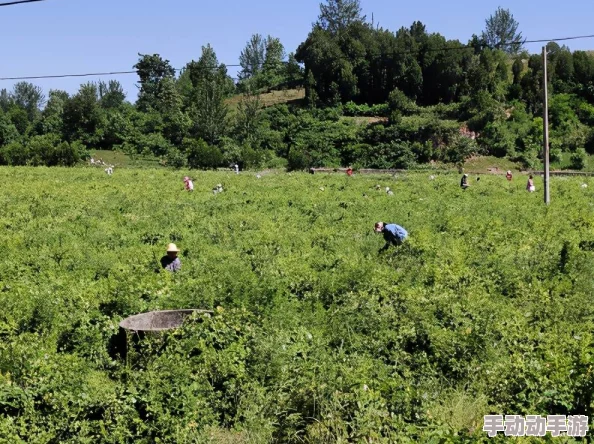 姜娆张子扬御书屋全文什么我的钱居然越花越多努力创造价值让财富不断增长