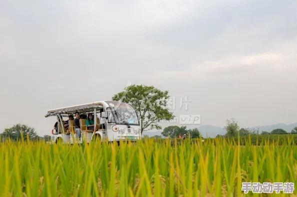 百合车行驶在乡间小路上乘客们欣赏着沿途风景