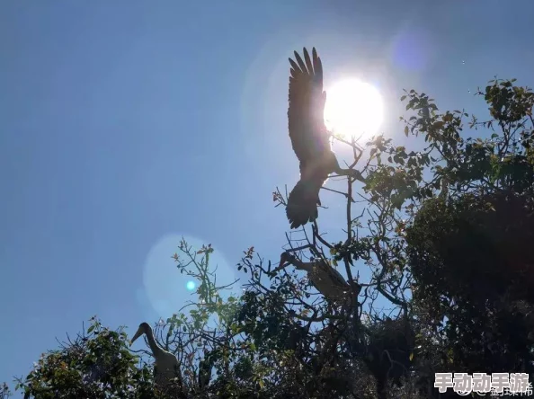 三角洲行动鳄鱼效果全面解析，惊喜揭秘：不懂这些效果？你错过的可不止一点点！