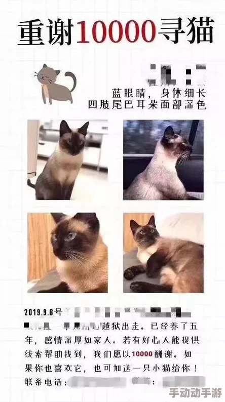 对门的主妇邻居家的猫走丢了悬赏一千元寻猫启事贴满了小区